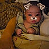 baby, infant, child, portrait, sitting, blanket, swaddle, couch, home, indoor, face_filter, puppy_filter, dog_ears, dog_nose, cute, eyes, hands, textile, cozy, photography