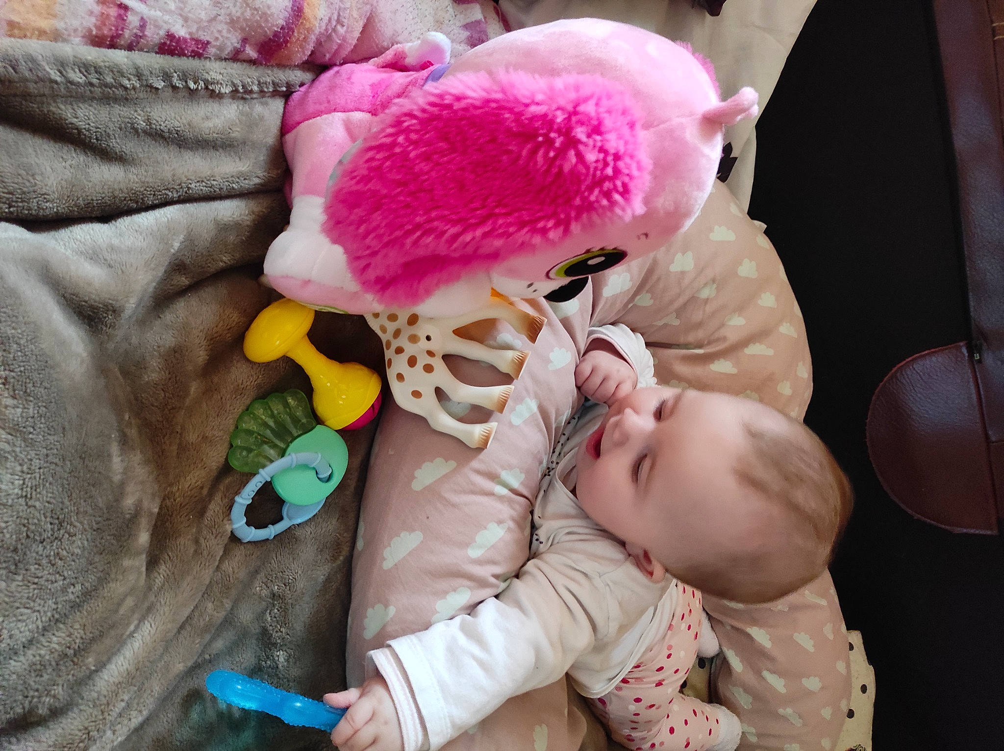 Lounnah participe au concours pour gagner de l'argent avec cette photo : baby, baby_products, baby_sleeping, baby_toddler_clothing, beanie, child, comfort, fur, happy, magenta, person, petal, pink, plant, plush, purple, sitting, stuffed_toy, teddy_bear, toddler