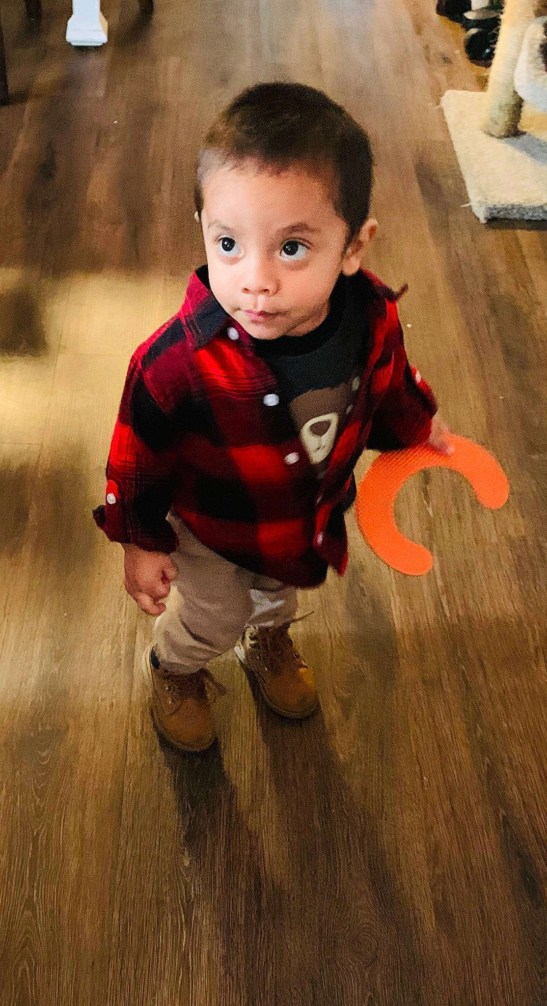 Ezekiel is registered to the contest to win money with this photo: baby, baby_toddler_clothing, cheek, child, eye, face, floor, flooring, fun, grass, hair, happy, hardwood, head, nose, person, skin, sleeve, tints_and_shades, toddler