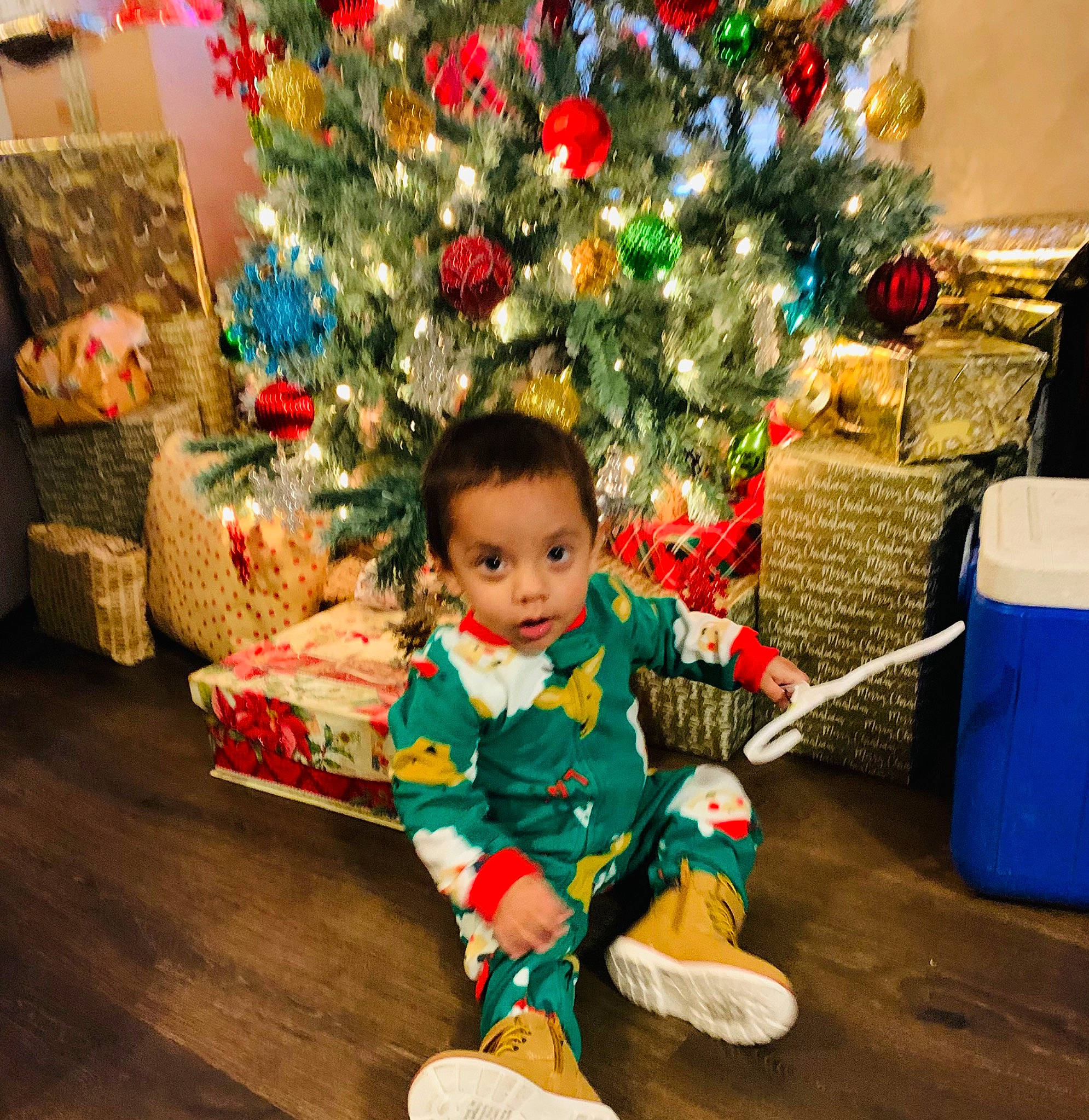 Ezekiel is registered to the contest to win money with this photo: baby_toddler_clothing, child, christmas, christmas_decoration, christmas_eve, christmas_ornament, christmas_tree, conifer, event, fun, happy, holiday, holiday_ornament, lap, ornament, person, plant, sitting, toddler, tree