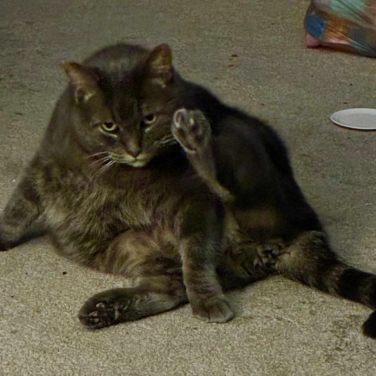 Smokie