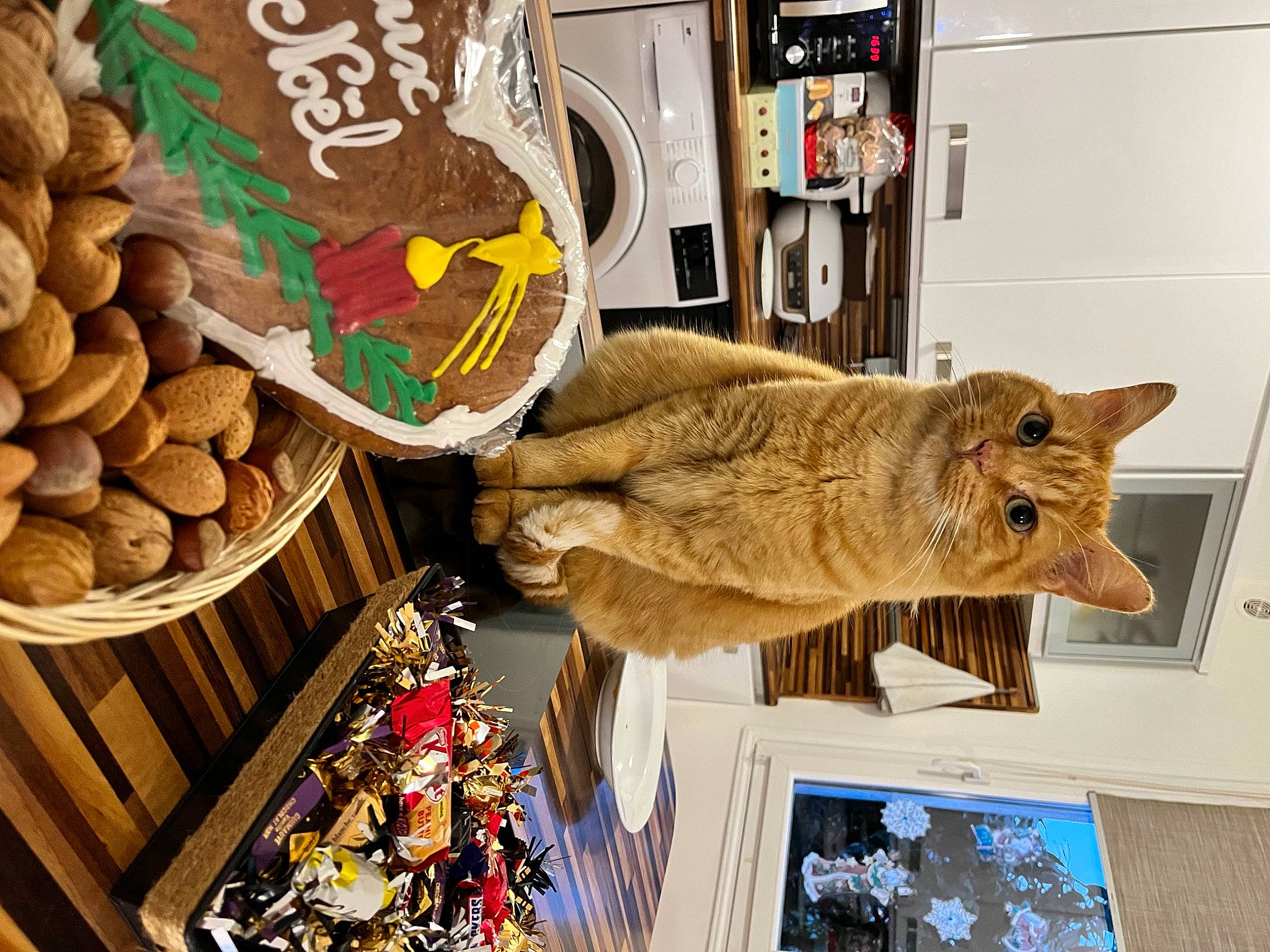 Timou participe au concours pour gagner de l'argent avec cette photo : art, baked_goods, baking, carnivore, cat, cuisine, domestic_short_haired_cat, fawn, felidae, finger_food, food, fur, gluten, ingredient, picture_frame, small_to_medium_sized_cats, sweetness, tail, whiskers, wood