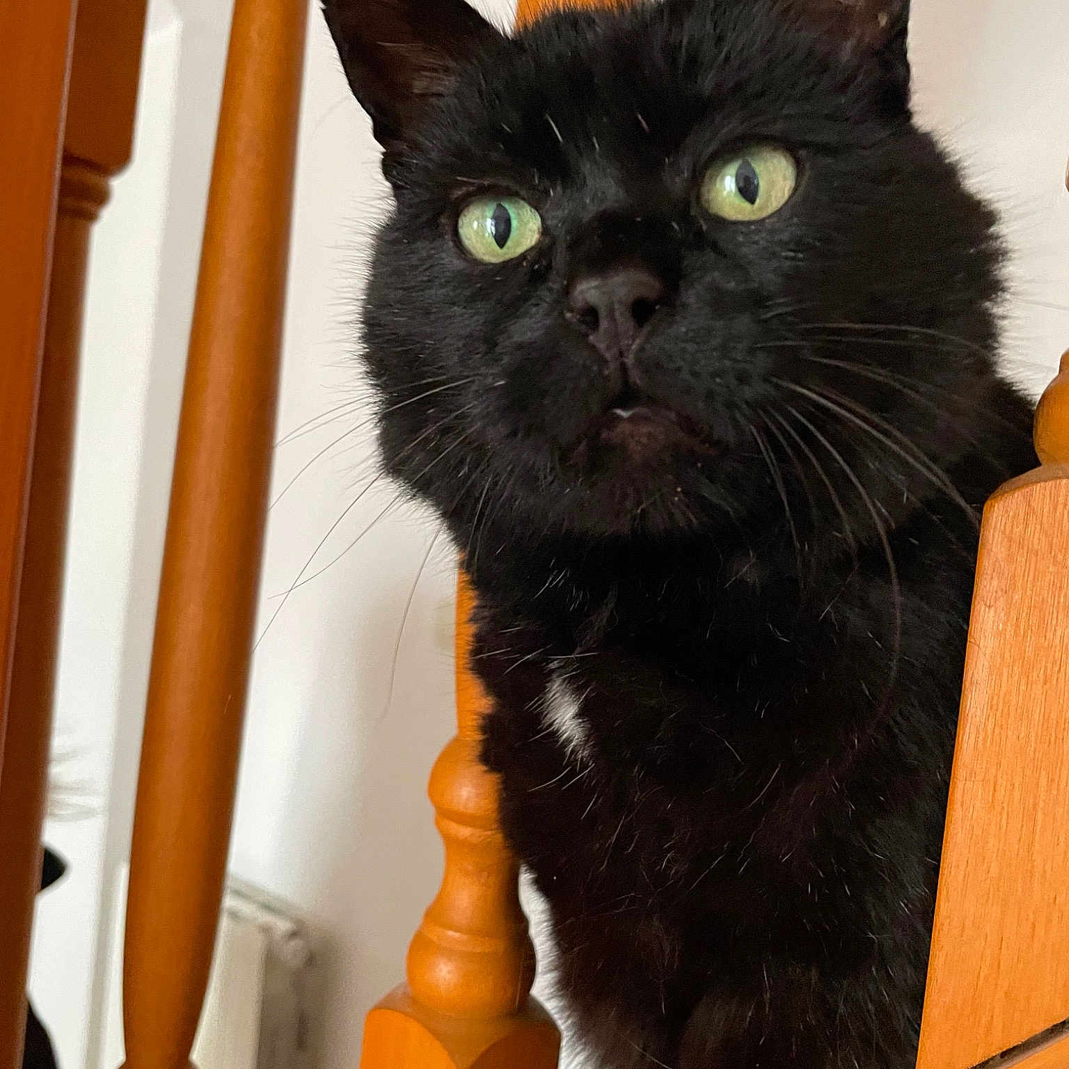 Kiki