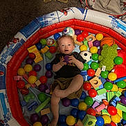 Lucas joined the competition — help win amazing prizes! toddler, child, ball_pit, colorful_balls, wooden_blocks, indoor, carpet, toy, playtime, inflatable, person, smiling, cute, casual_clothing, green_plush_toy, basketball_toy, soccer_ball_toy, relaxing, bright_colors, happy