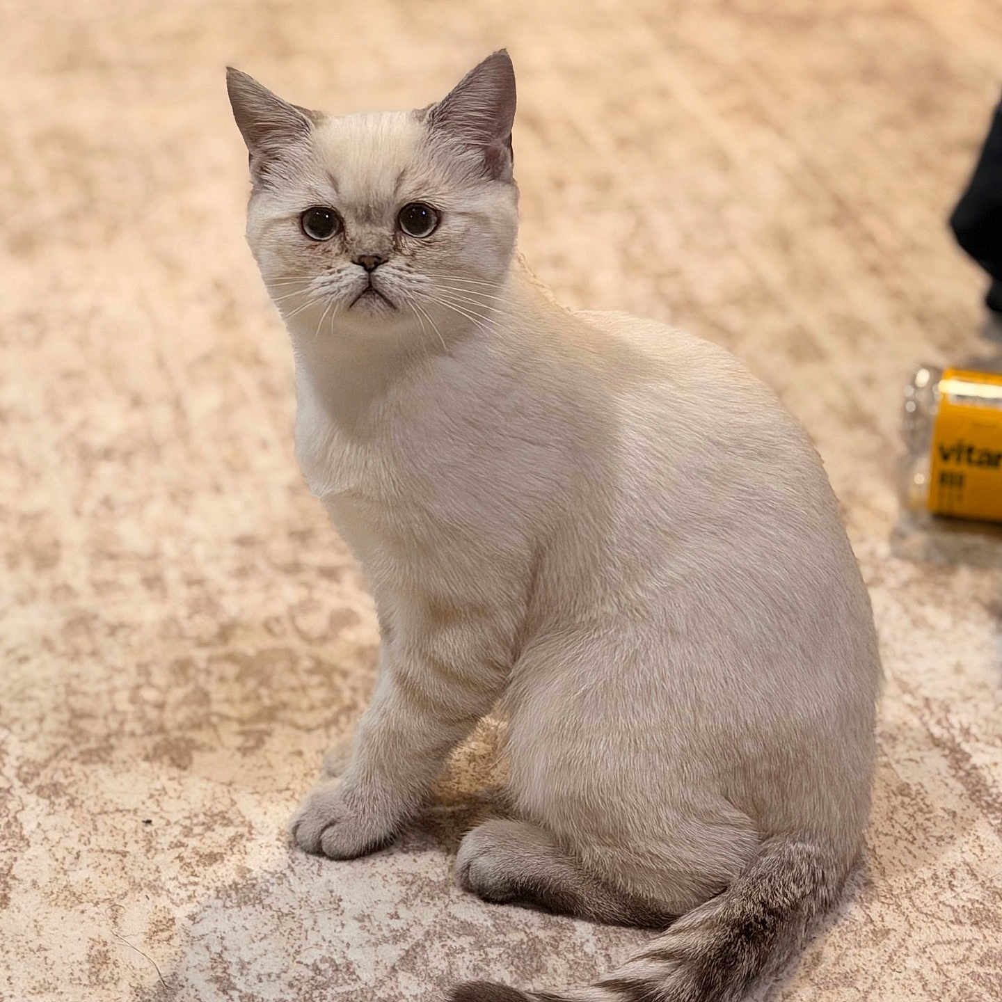 Milo
