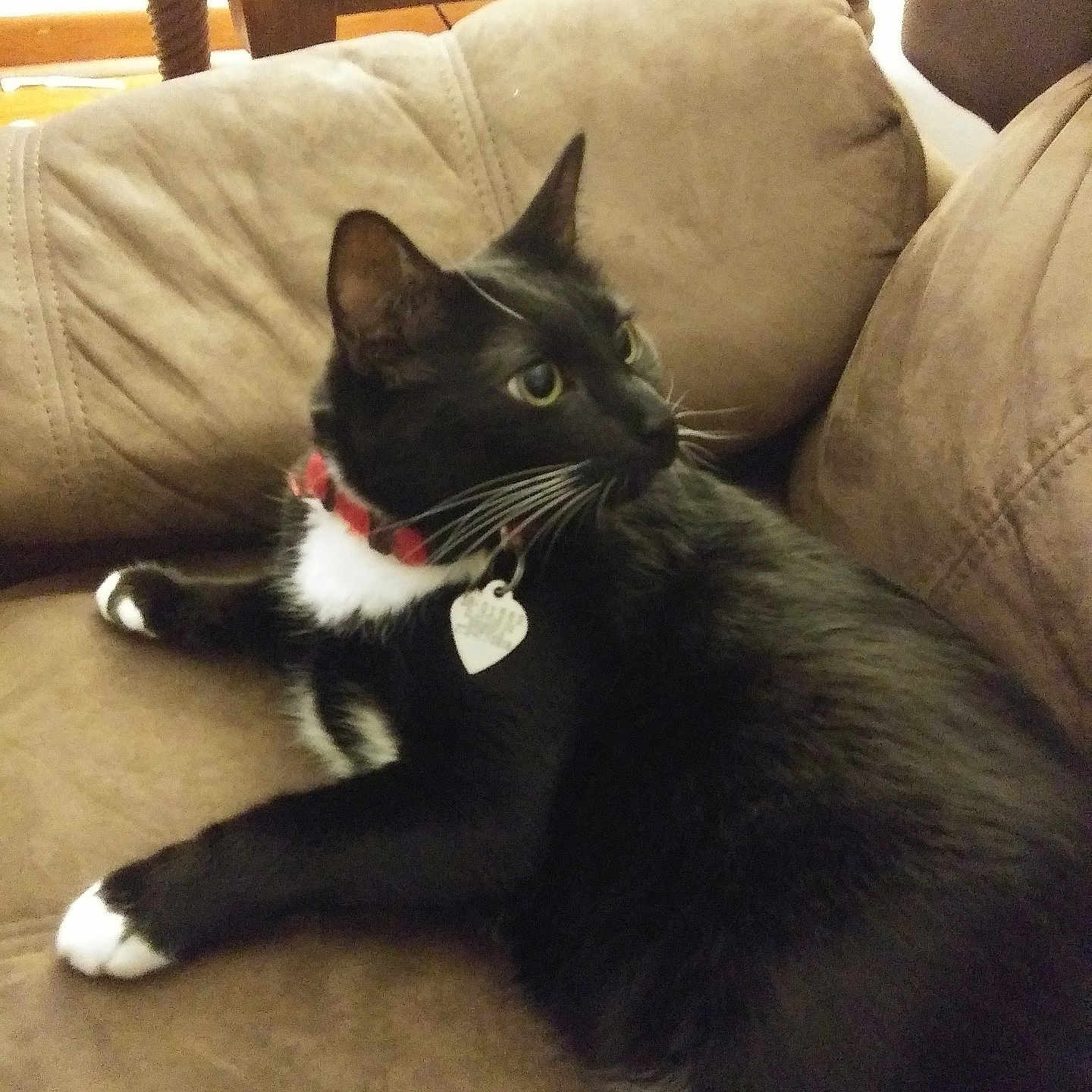 Mittens