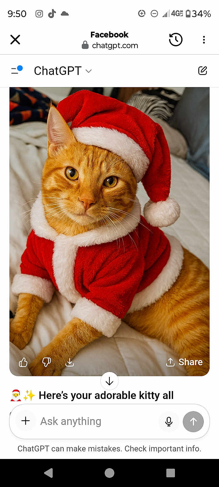 Brandon joined the competition — help win amazing prizes! cat, orange_tabby, santa_hat, santa_suit, pet, costume, indoor, bed, blanket, cute, holiday, festive, animal, feline, whiskers, ears, eyes, fur, relaxed, portrait