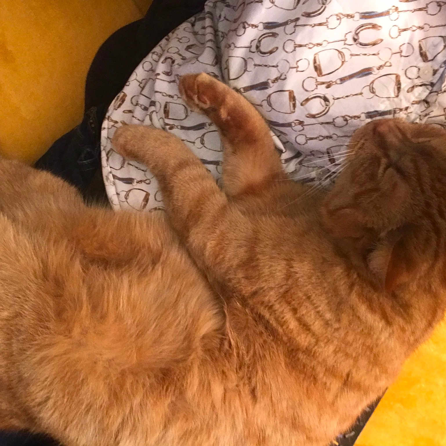 Monsieur Othello