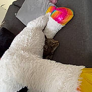 Tigrou a rejoint le concours — aidez-le/la à gagner de superbes lots ! cat, tabby_cat, slippers, fluffy, couch, pillows, blanket, cozy, indoor, furniture, soft_texture, rainbow_colors, resting, pet, animal, fur, relaxing, home, comfort, casual