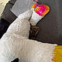 cat, tabby_cat, slippers, fluffy, couch, pillows, blanket, cozy, indoor, furniture, soft_texture, rainbow_colors, resting, pet, animal, fur, relaxing, home, comfort, casual