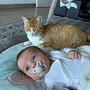 Isaé a rejoint le concours — aidez-le/la à gagner de superbes lots ! baby, infant, pacifier, cat, orange_cat, tabby, play_mat, baby_gym, plush_toy, blanket, tiled_floor, door, sofa, carpet, white_onesie, hand, face, eyes, fur, cozy