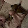 animal, bed, blanket, collar, cozy, cute, dog, donut_toy, fur, indoor, knitted_sweater, lollipop_toy, pet, pink, plush_toy, relaxing, resting, sleeping, small_dog, soft_texture