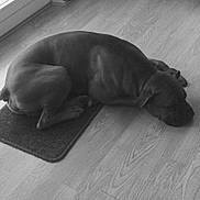 Hold-up a rejoint le concours — aidez-le/la à gagner de superbes lots !