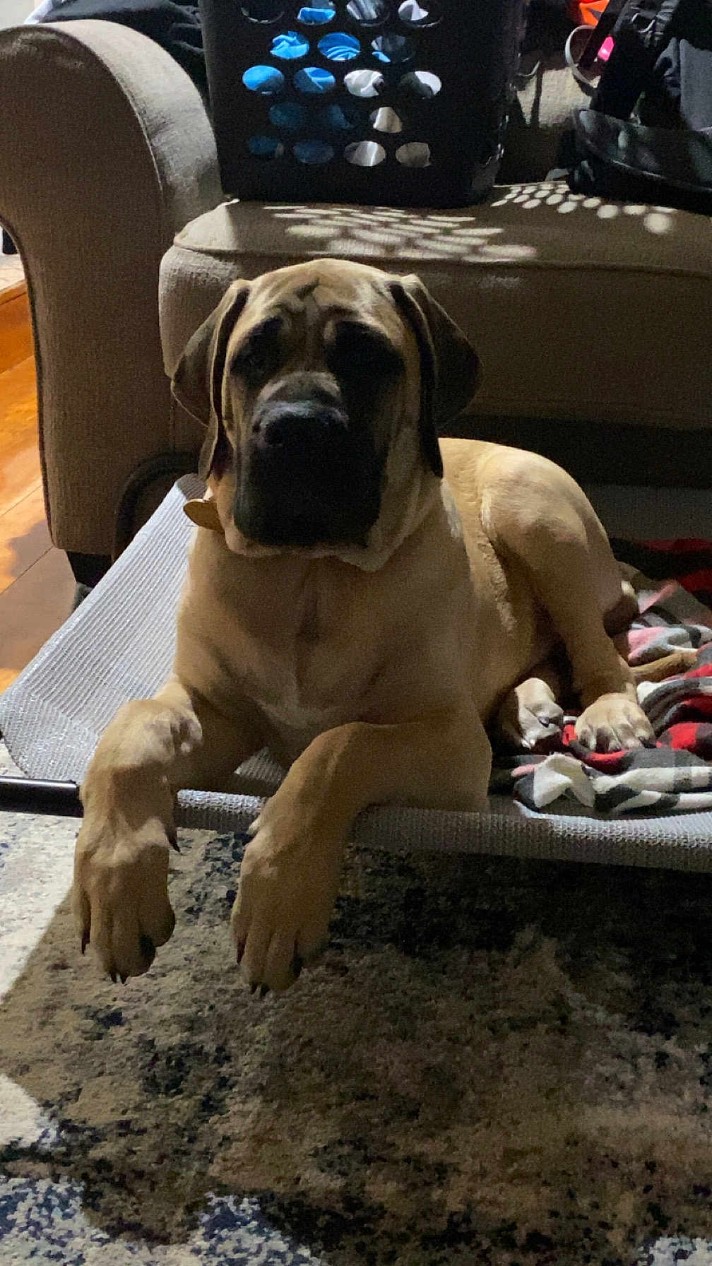 Axel