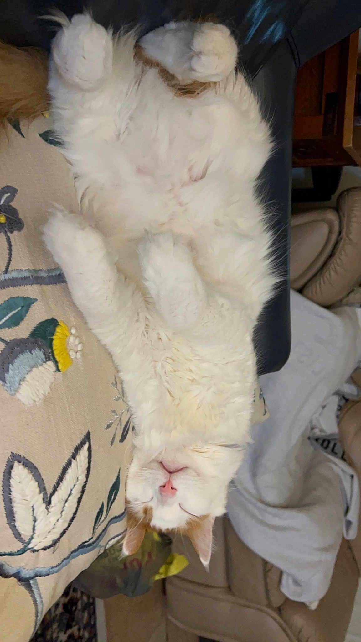 Marley
