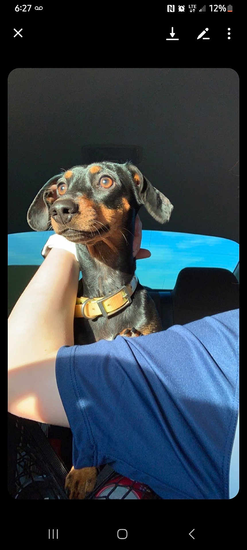 Winnie