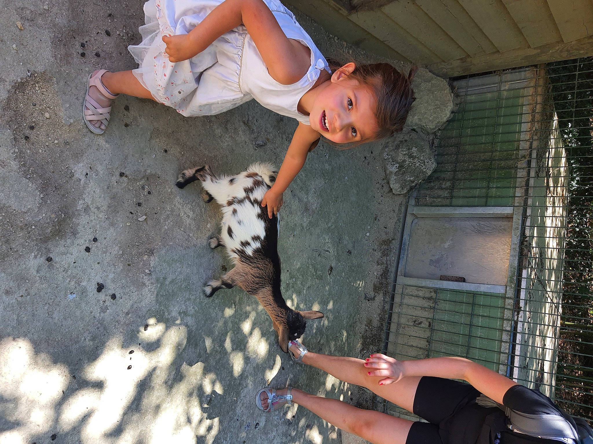 Taïna a rejoint le concours — aidez-le/la à gagner de superbes lots ! adventure, canidae, child, companion_dog, dog, dog_breed, fawn, fun, fur, human_leg, joy, leg, leisure, person, sandal, shorts, sneakers, soil, sporting_group, thigh