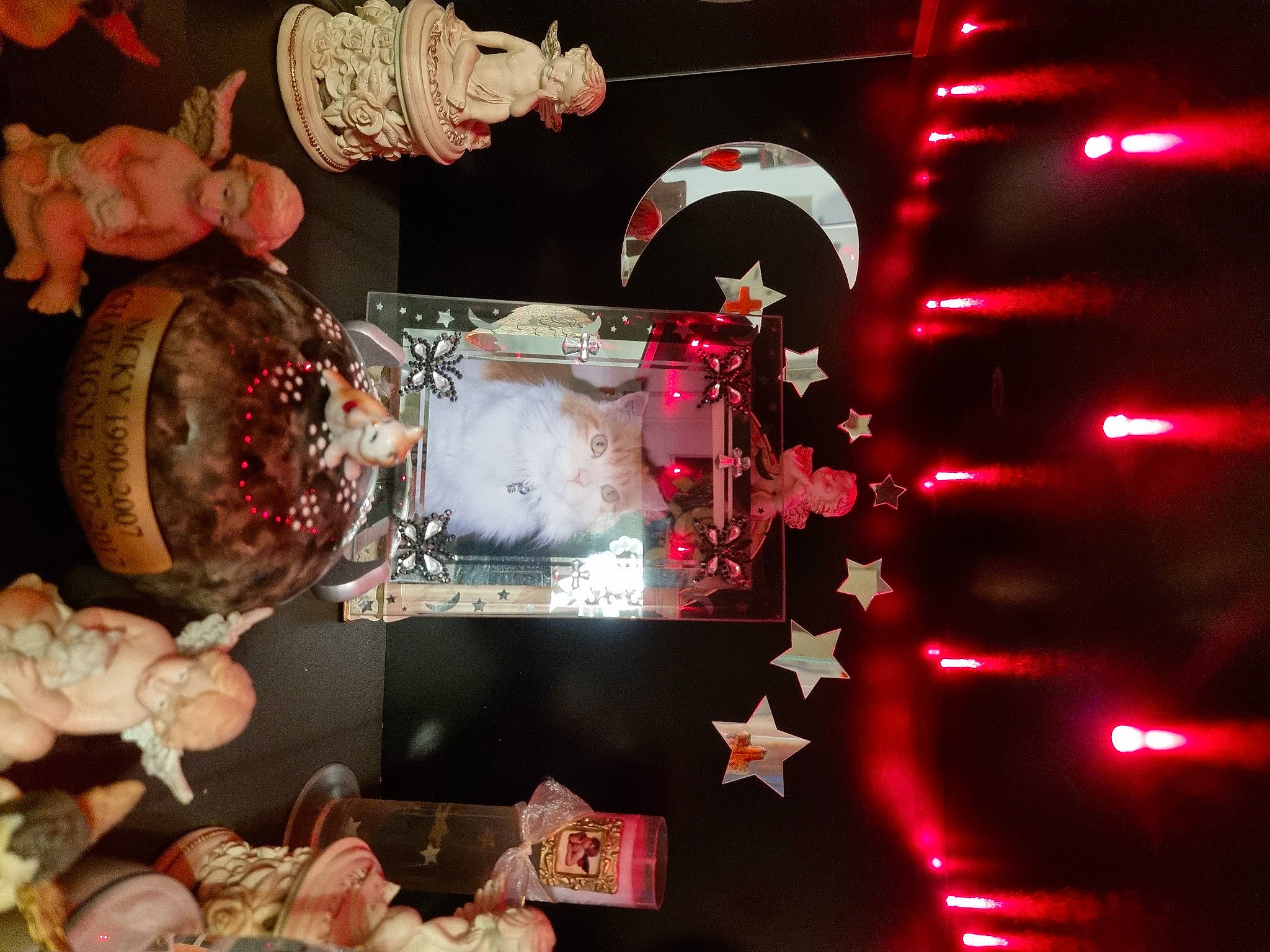 Châtaigne a rejoint le concours — aidez-le/la à gagner de superbes lots ! carmine, comfort_food, cooking, cuisine, delicacy, dessert, dish, event, flesh, food, magenta, meat, ornament, pink, plate, recipe, room, still_life_photography, tableware, tree