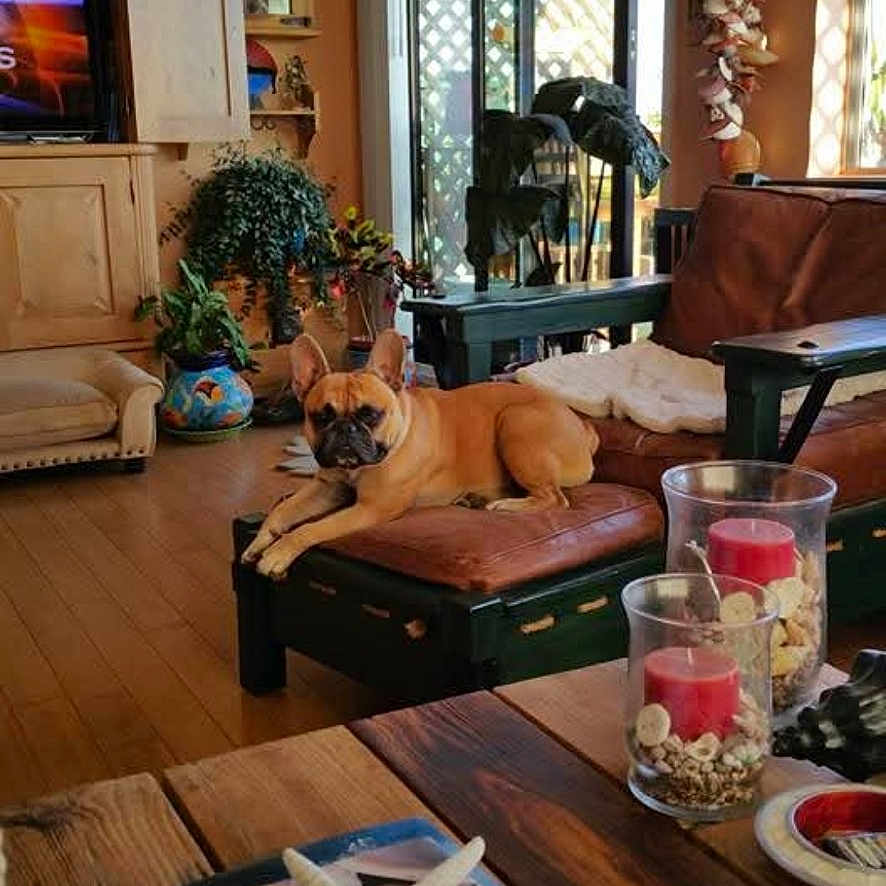 Winston