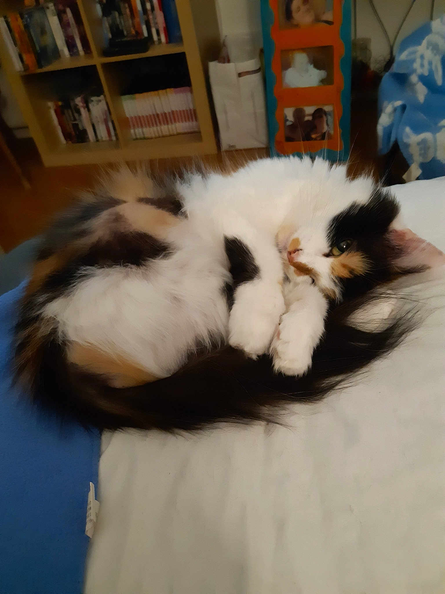 Praline