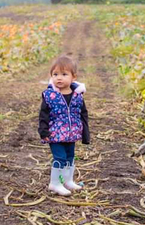 Avi joined the competition — help win amazing prizes! adaptation, autumn, child, grass, jacket, leaf, outerwear, pattern, person, photography, plant, play, portrait, soil, toddler, walking