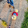 dog, small_dog, fluffy, outdoor, concrete, grass, feet, sandals, sneakers, clothing, pet, cute, animal, daylight, pavement, looking_up, tail, person, shadow, casual