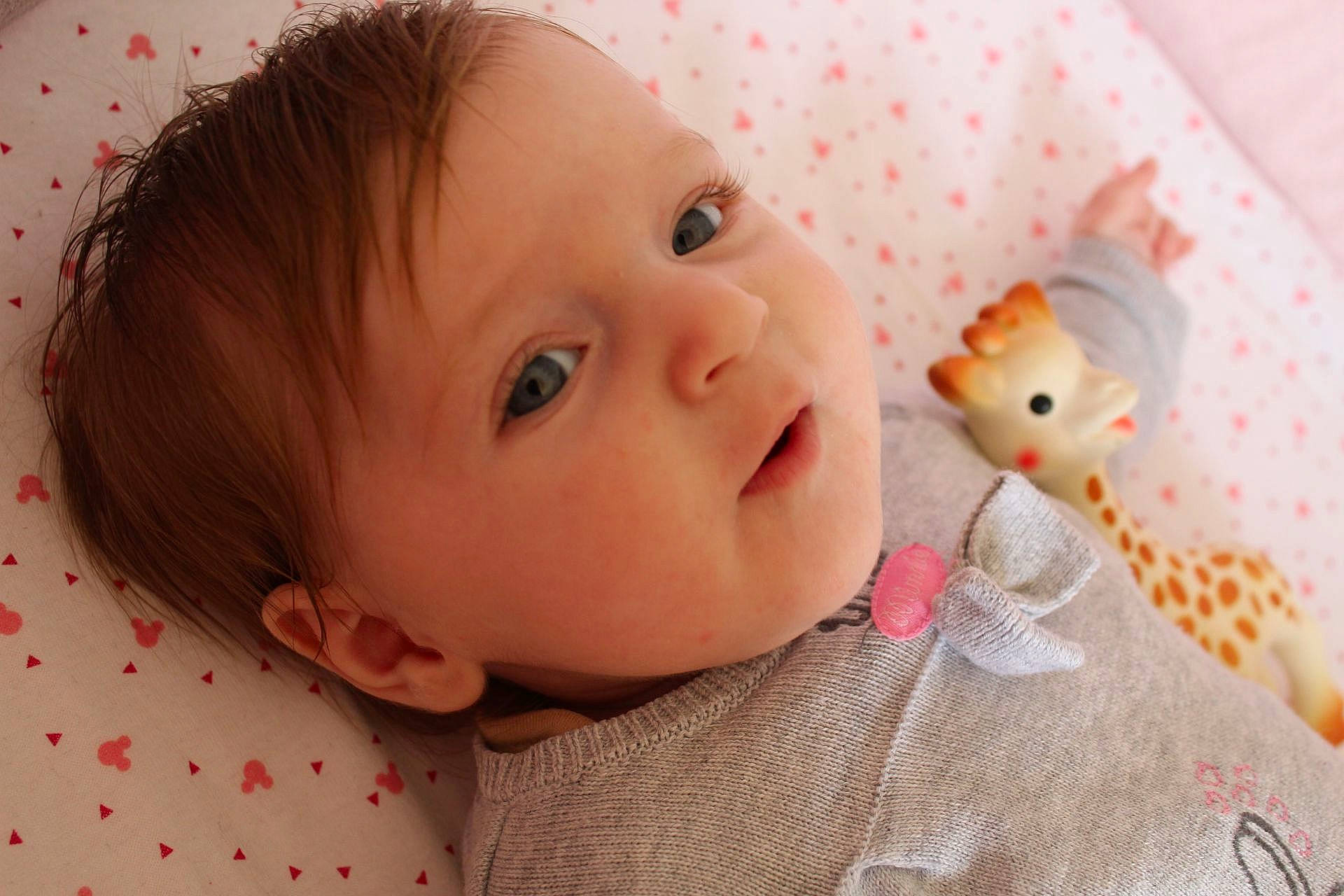 Lou participe au concours pour gagner de l'argent avec cette photo : cheek, child, close_up, doll, eye, face, girl, head, infant, iris, lip, mouth, nose, person, pink, skin, smile, sweetness, toddler, toy
