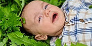élys a rejoint le concours — aidez-le/la à gagner de superbes lots ! baby, child, plaid_shirt, green_leaves, outdoor, nature, face, portrait, infant, grass, lying_down, curious, young_child, shirt, plants, fresh, relaxed, close_up, skin, expression
