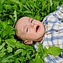 baby, child, plaid_shirt, green_leaves, outdoor, nature, face, portrait, infant, grass, lying_down, curious, young_child, shirt, plants, fresh, relaxed, close_up, skin, expression