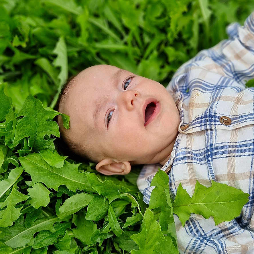 élys a rejoint le concours — aidez-le/la à gagner de superbes lots ! baby, child, close_up, curious, expression, face, fresh, grass, green_leaves, infant, lying_down, nature, outdoor, plaid_shirt, plants, portrait, relaxed, shirt, skin, young_child