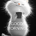 Page M.