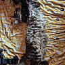 bed, bedspread, belly_up, cat, cozy, fluffy, fur, gray, indoor, kitten, long_hair, lying_down, patterned_fabric, paws, plush_toy, sleeping, tabby, tail, whiskers, yellow