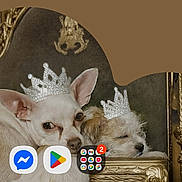 Tinkerbell is registered to the contest to win money with this photo: canine, crown, cute, decor, dog, furniture, gold, household, indoor, luxury, ornate, pet, portrait, relaxed, resting, screenshot, small_dog, sofa, velvet, white_dog