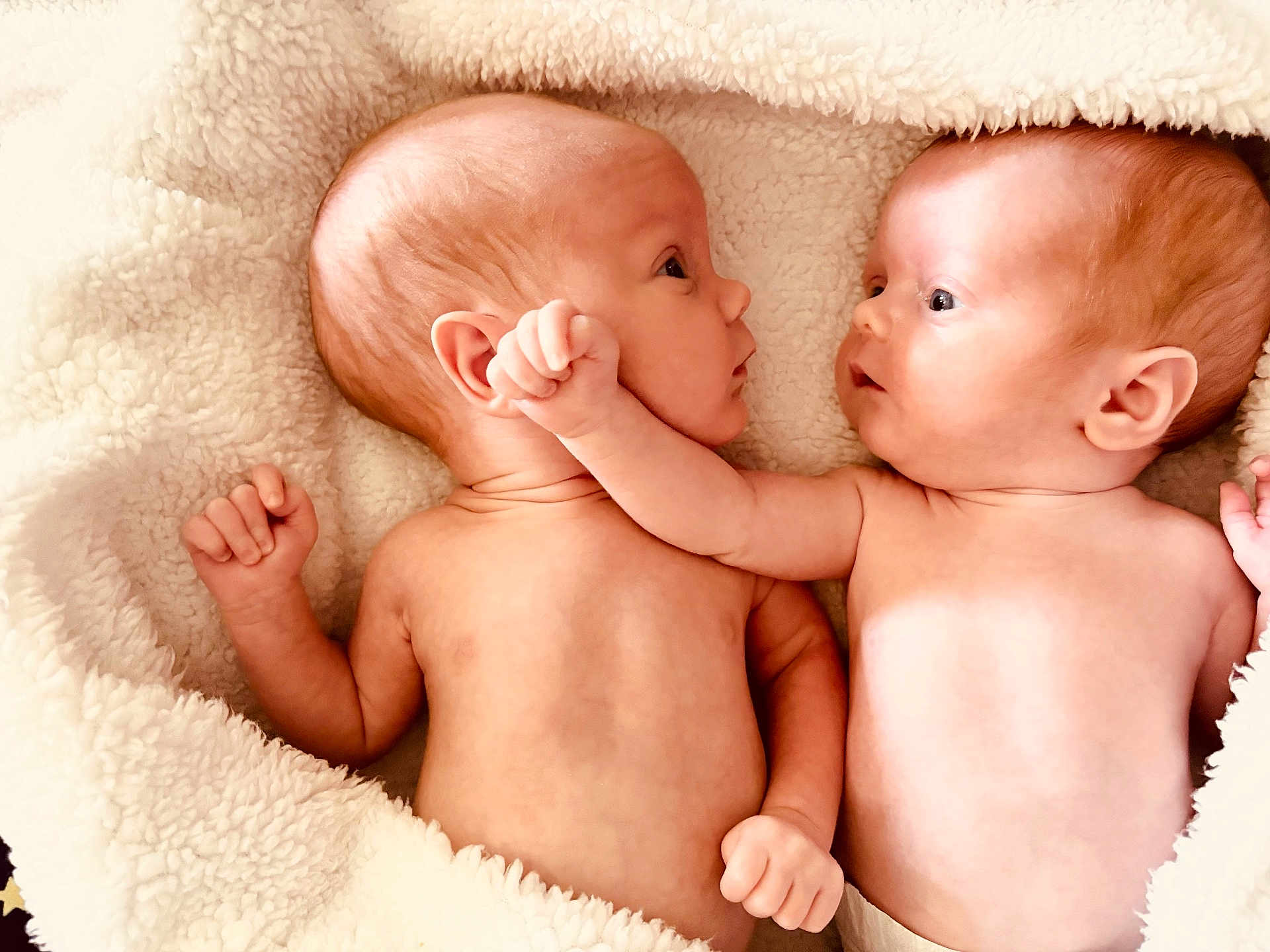 Jase Chase joined the competition — help win amazing prizes! baby, newborn, infant, child, bare_chest, blanket, curious, face, flesh, gaze, hand, infancy, innocence, laying_down, looking, naked_torso, person, skin, twin, white