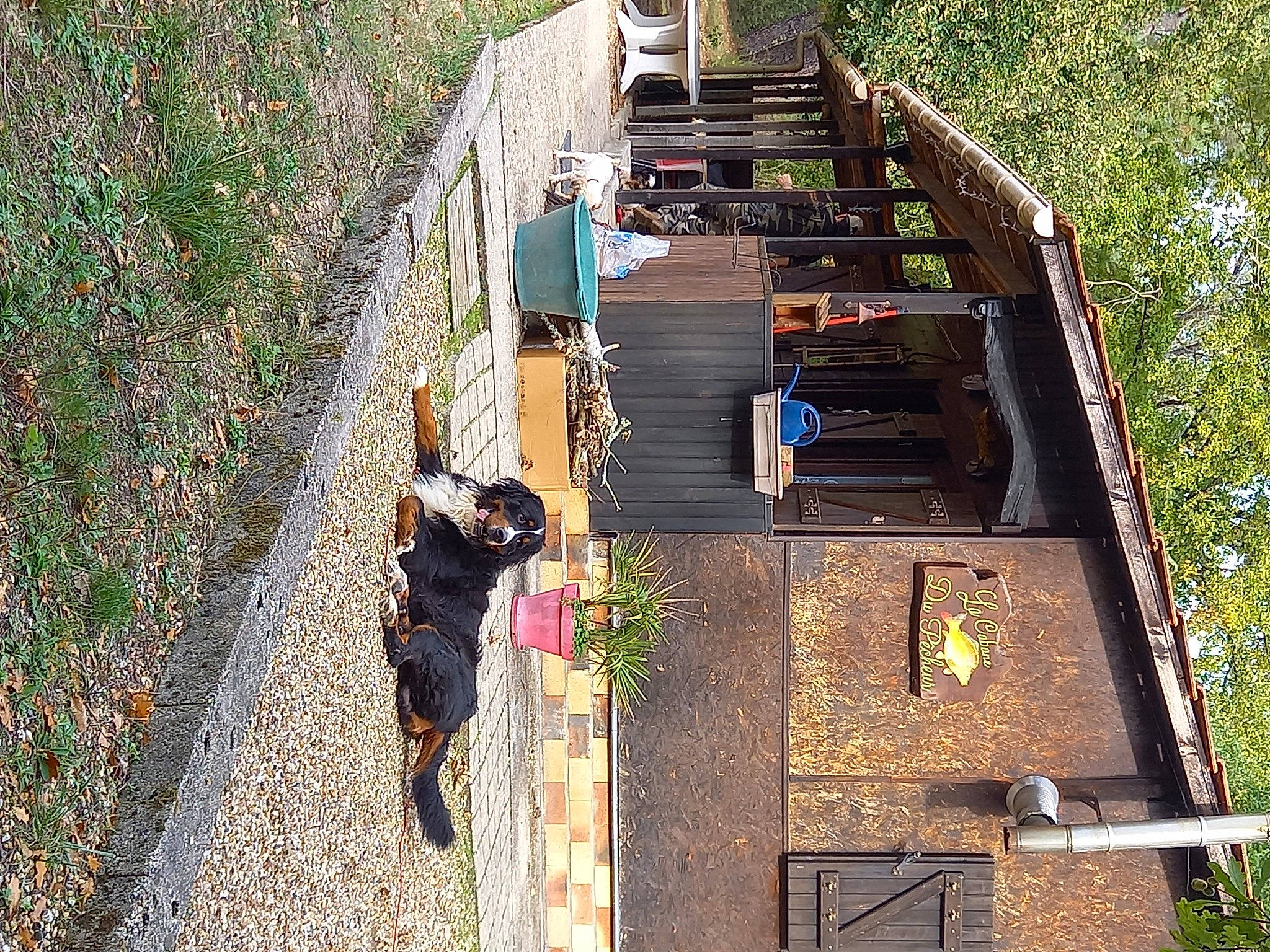 Rocky participe au concours pour gagner de l'argent avec cette photo : building, grass, landscape, leisure, plant, road_surface, shadow, slope, transport, tree, window, wood
