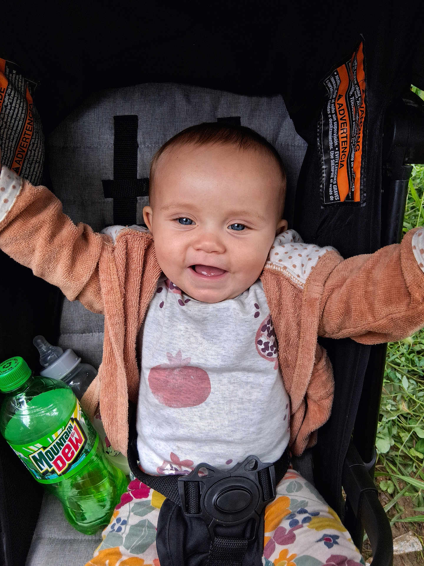Saige