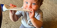 Toby is registered to the contest to win money with this photo: baby, child, carpet, blue_eyes, sitting, tube, chewing, clothing, pants, shirt, indoor, furniture, baby_gate, curious, floor, foot, hand, face, young_child, home