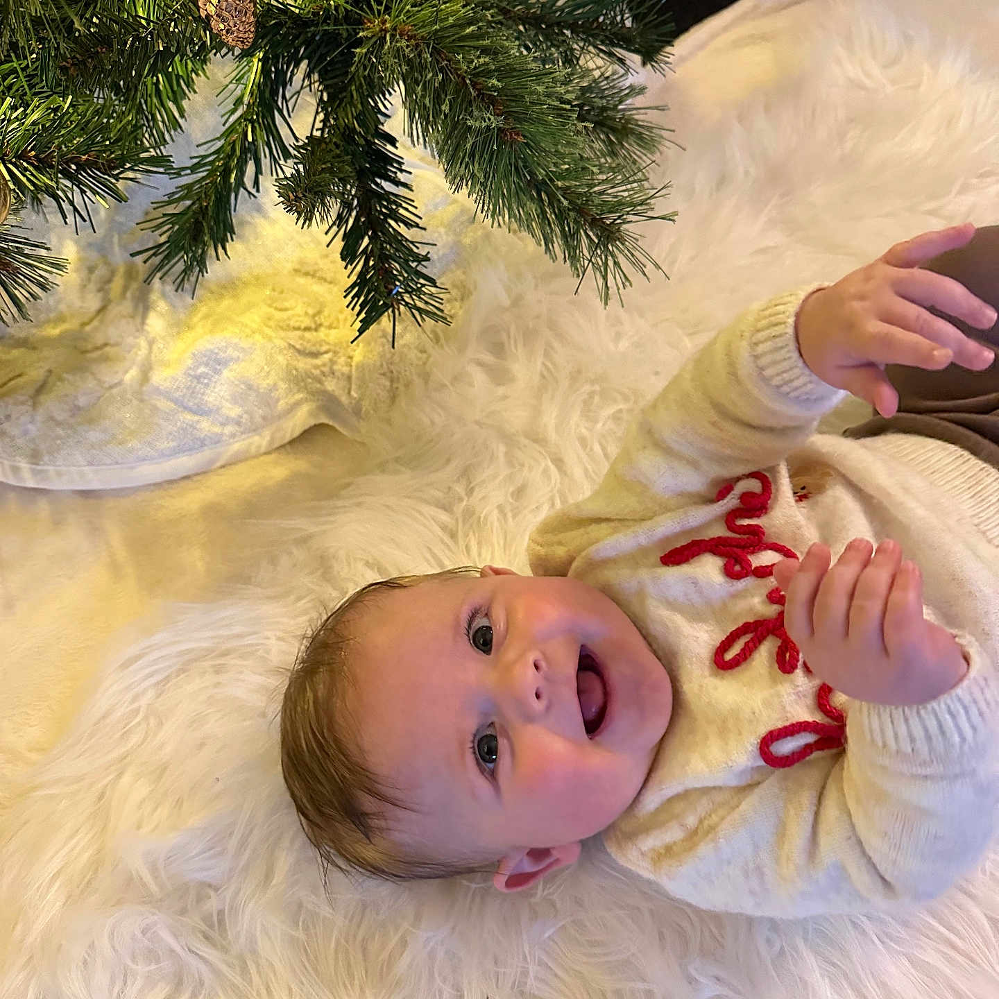 Archie is registered to the contest to win money with this photo: accessories, baby, blanket, bodypart, conifer, face, finger, fir, furniture, hand, head, herbal, herbs, leaf, person, photography, plant, portrait, pottedplant, tree