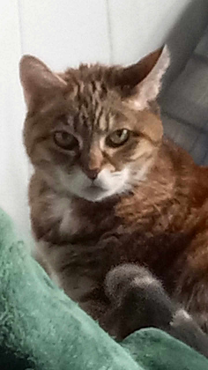 Zoey