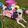 accessories, costume, cute, dog, doll, easter_eggs, floral_pattern, grass, heart_sunglasses, outdoor, pearl_necklace, pink_basket, pink_dress, playful, portrait, shallow_depth_of_field, small_dog, sunny, toy, white_dog