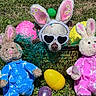 Button Boo is registered to the contest to win money with this photo: basket, blue, bunny_ears, chihuahua, costume, cute, dog, easter_eggs, grass, heart_sunglasses, holiday, outdoor, pet, pink, plush_bunny, small_dog, spring, stuffed_toy, toy, yellow