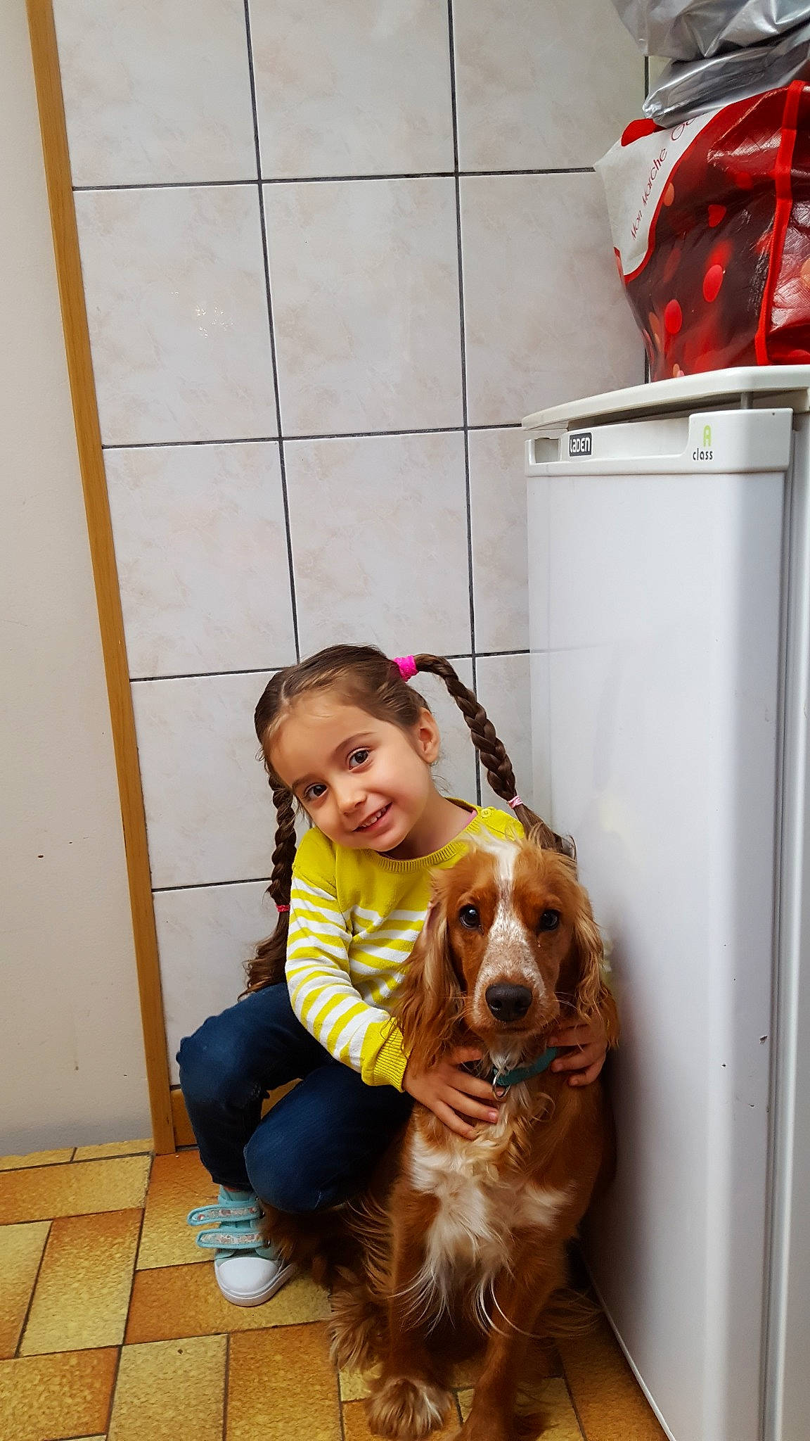 Tania a rejoint le concours — aidez-le/la à gagner de superbes lots ! canidae, carnivore, child, companion_dog, dog, dog_breed, door, english_cocker_spaniel, fun, joy, person, spaniel, sporting_group