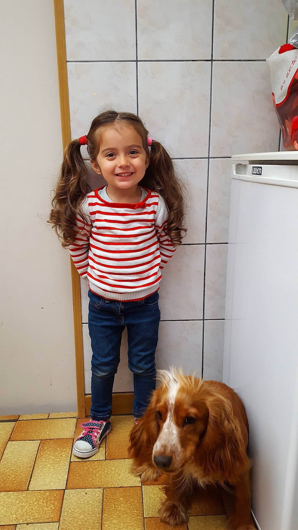 Kaia a rejoint le concours — aidez-le/la à gagner de superbes lots ! american_cocker_spaniel, canidae, carnivore, child, cocker_spaniel, companion_dog, dog, dog_breed, english_cocker_spaniel, english_springer_spaniel, fawn, irish_setter, joy, long_hair, person, spaniel, sporting_group