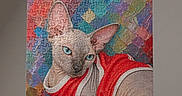 Beerus Rivera is registered to the contest to win money with this photo: cat, sphynx_cat, hairless_cat, red_clothing, puzzle, jigsaw_puzzle, portrait, artwork, colorful, indoor, sitting, lying_down, blue_eyes, animal, pet, wall, shelf, display, browser_screenshot, black_borders