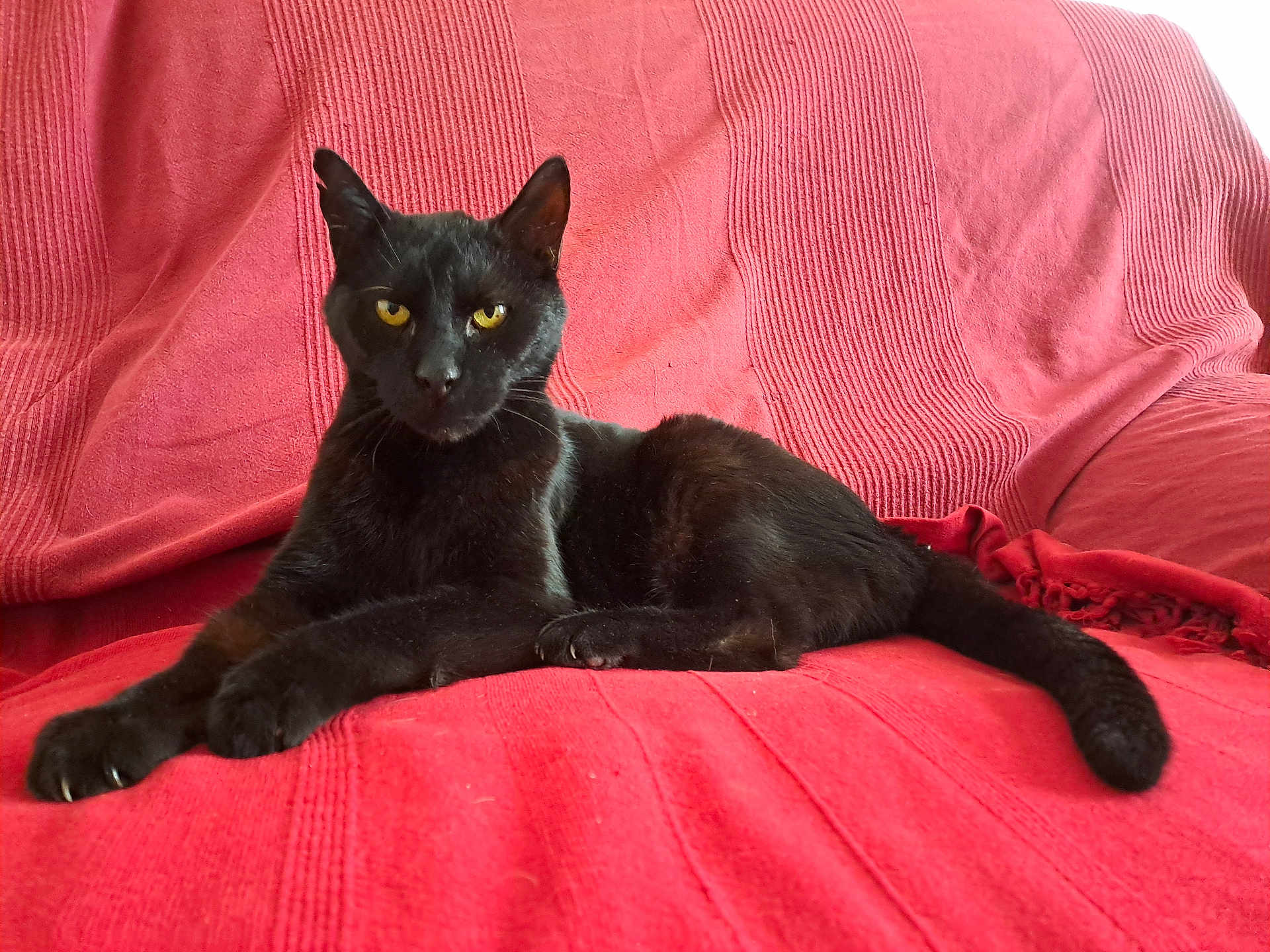 Beaux-Yeux