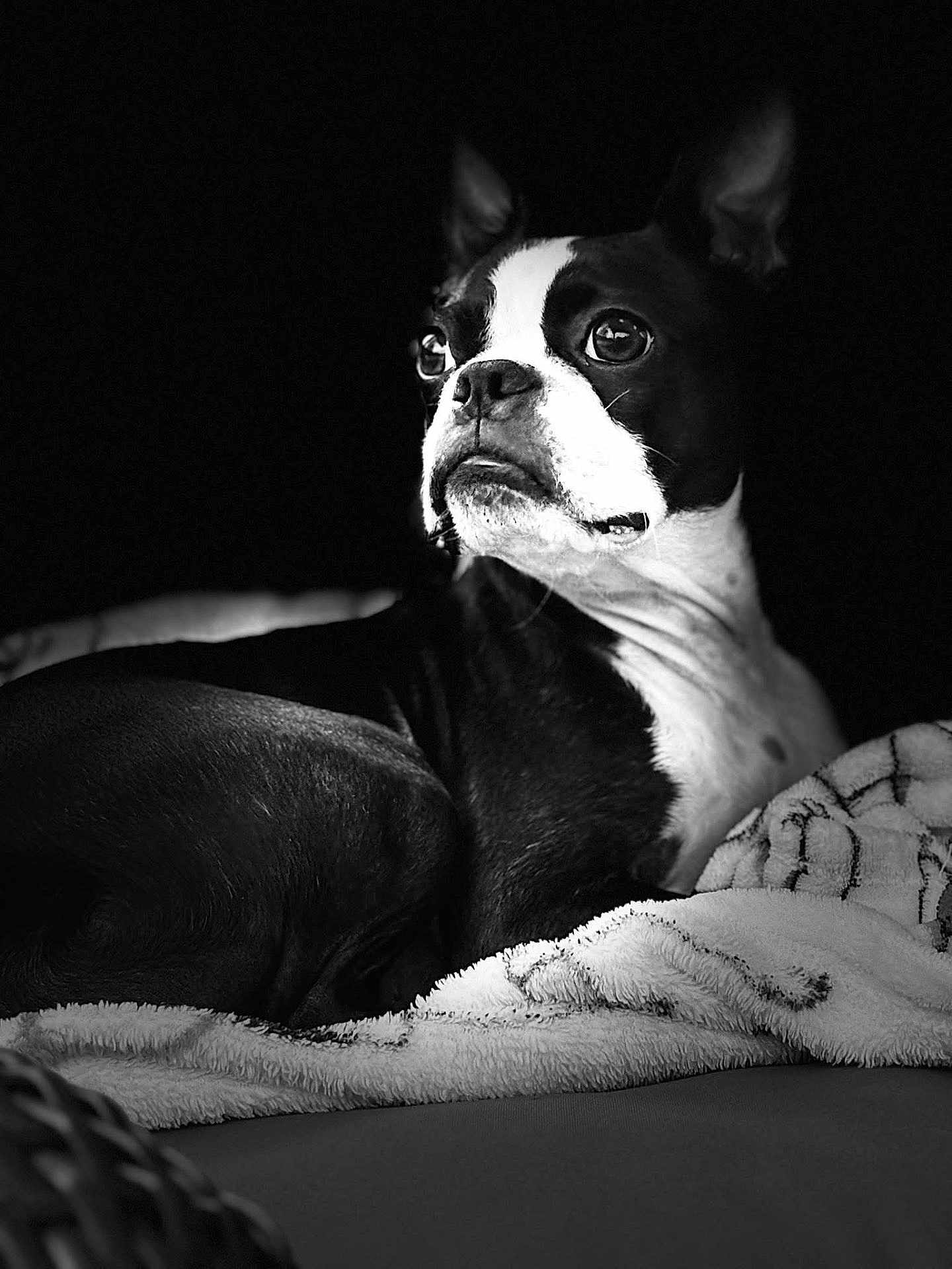Otis