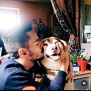Oubo participe au concours pour gagner de l'argent avec cette photo : man, dog, husky, kiss, smile, happy, indoor, plant, curtain, window, face, hand, person, room, cozy, furniture, photography, love, affection, pet
