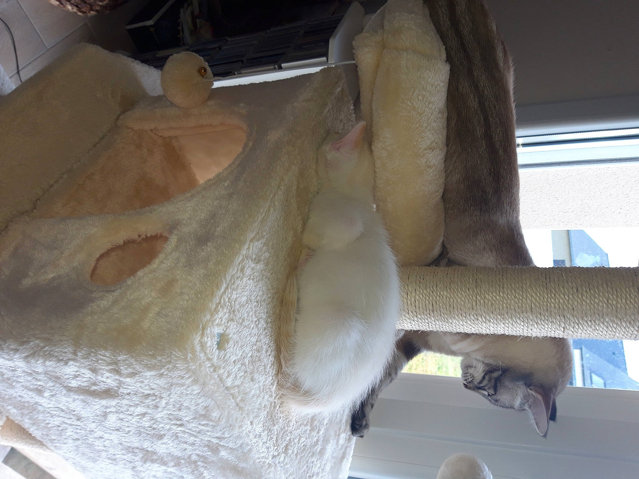 Gumball a rejoint le concours — aidez-le/la à gagner de superbes lots !