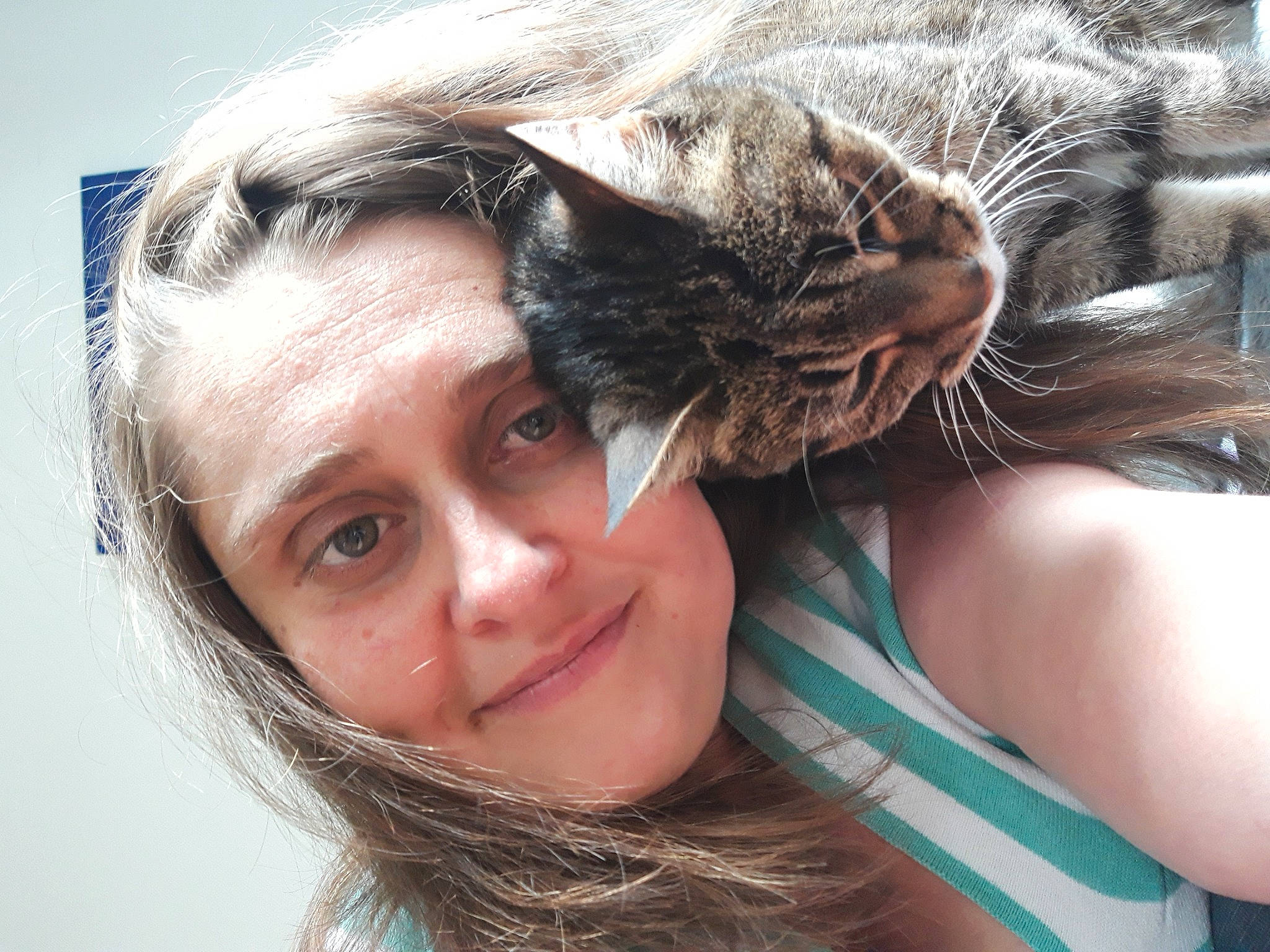 Lili participe au concours pour gagner de l'argent avec cette photo : blond, brown_hair, cat, ear, eye, face, fawn, felidae, fur, hair, hair_coloring, hairstyle, long_hair, nose, selfie, skin, small_to_medium_sized_cats, smile, whiskers