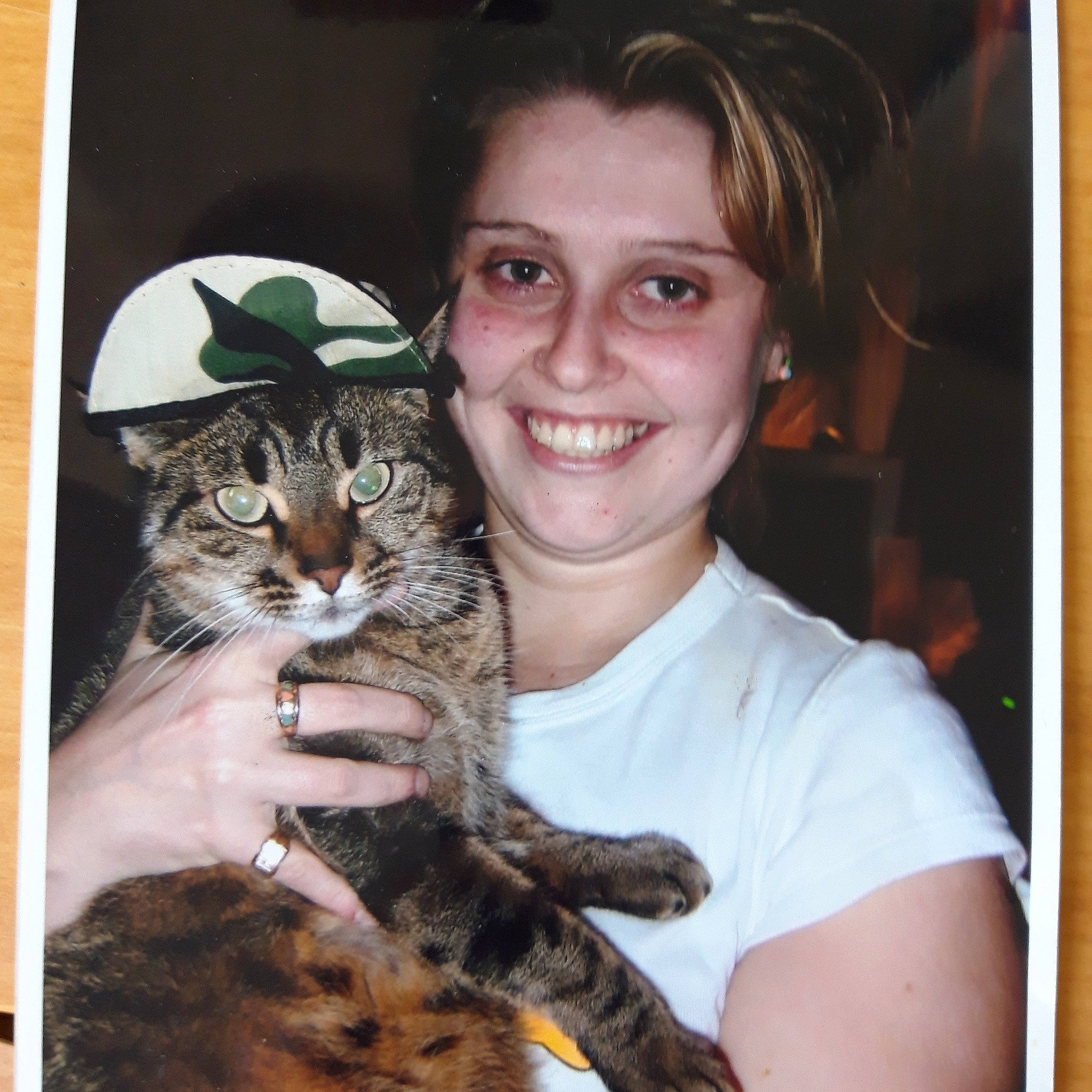 Lili a rejoint le concours — aidez-le/la à gagner de superbes lots ! american_bobtail, american_curl, american_shorthair, asian, bobcat, california_spangled, carnivore, cat, domestic_short_haired_cat, dragon_li, european_shorthair, felidae, fur, ocelot, pixie_bob, small_to_medium_sized_cats, tabby_cat, toyger, whiskers, wild_cat